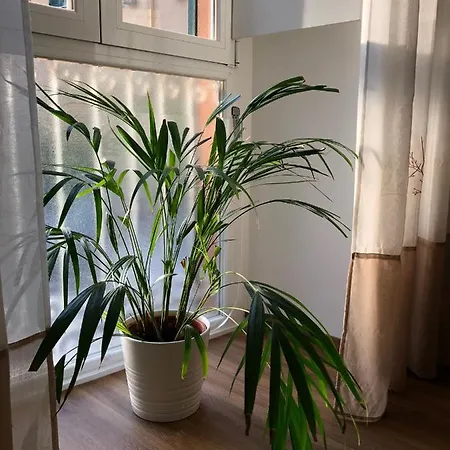 La Casa Nel Parco Apartmán *